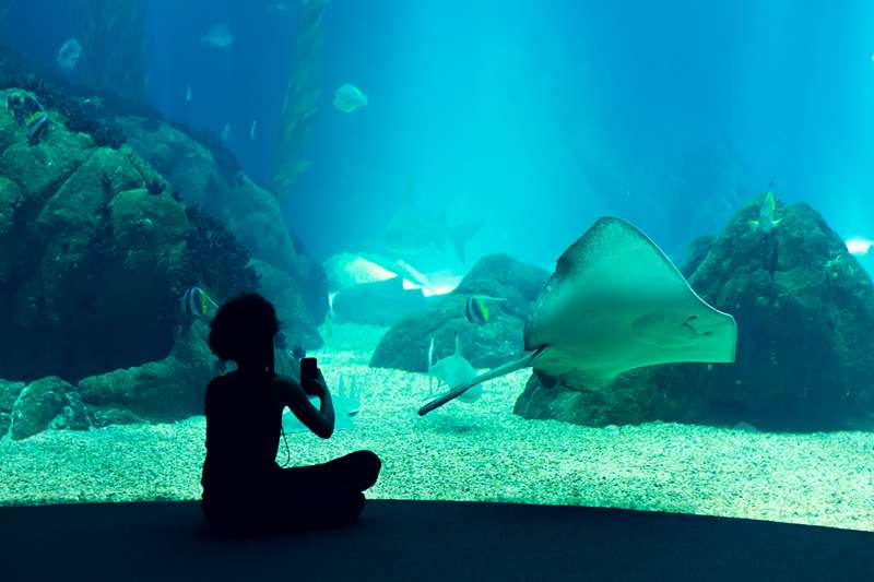 水族館的玻璃是什么材料